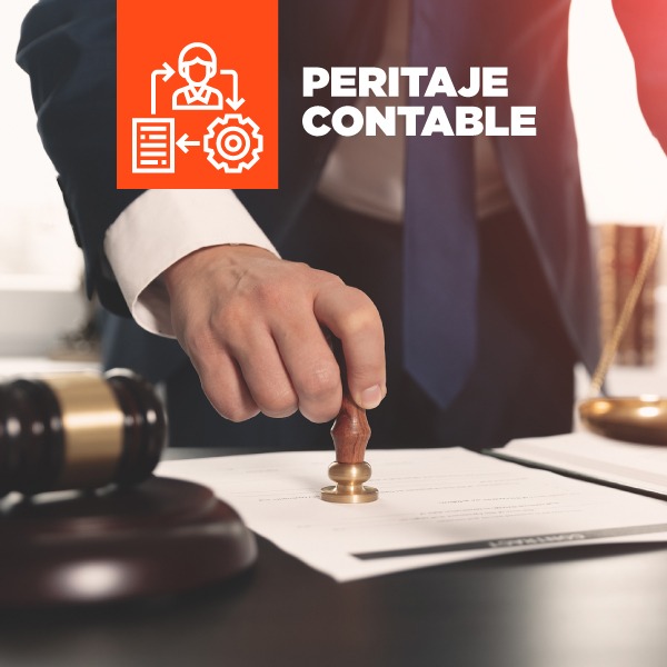 Peritaje Contable Judicial Conceptos Aic