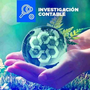 Documento de consulta de información sobre sostenibilidad de la fundación IFRS