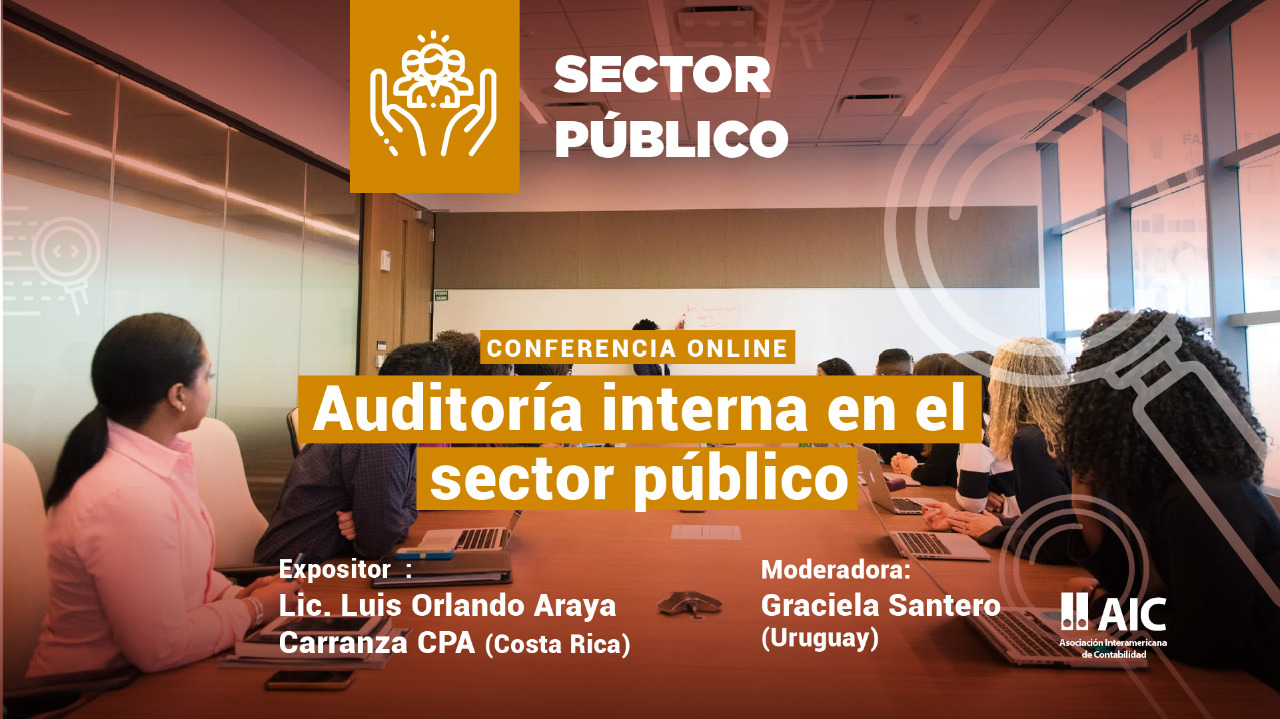 Auditoría interna en el Sector Público